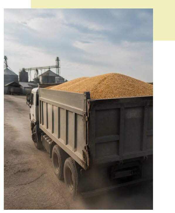 Перевозка сельхозпродукции навалом в Шадринск по цене от 3102 р. | Агросервис-Шдр