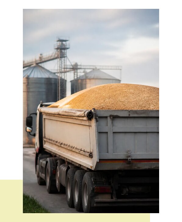 Автомобильная перевозка зерна и зерновых культур в Шадринск